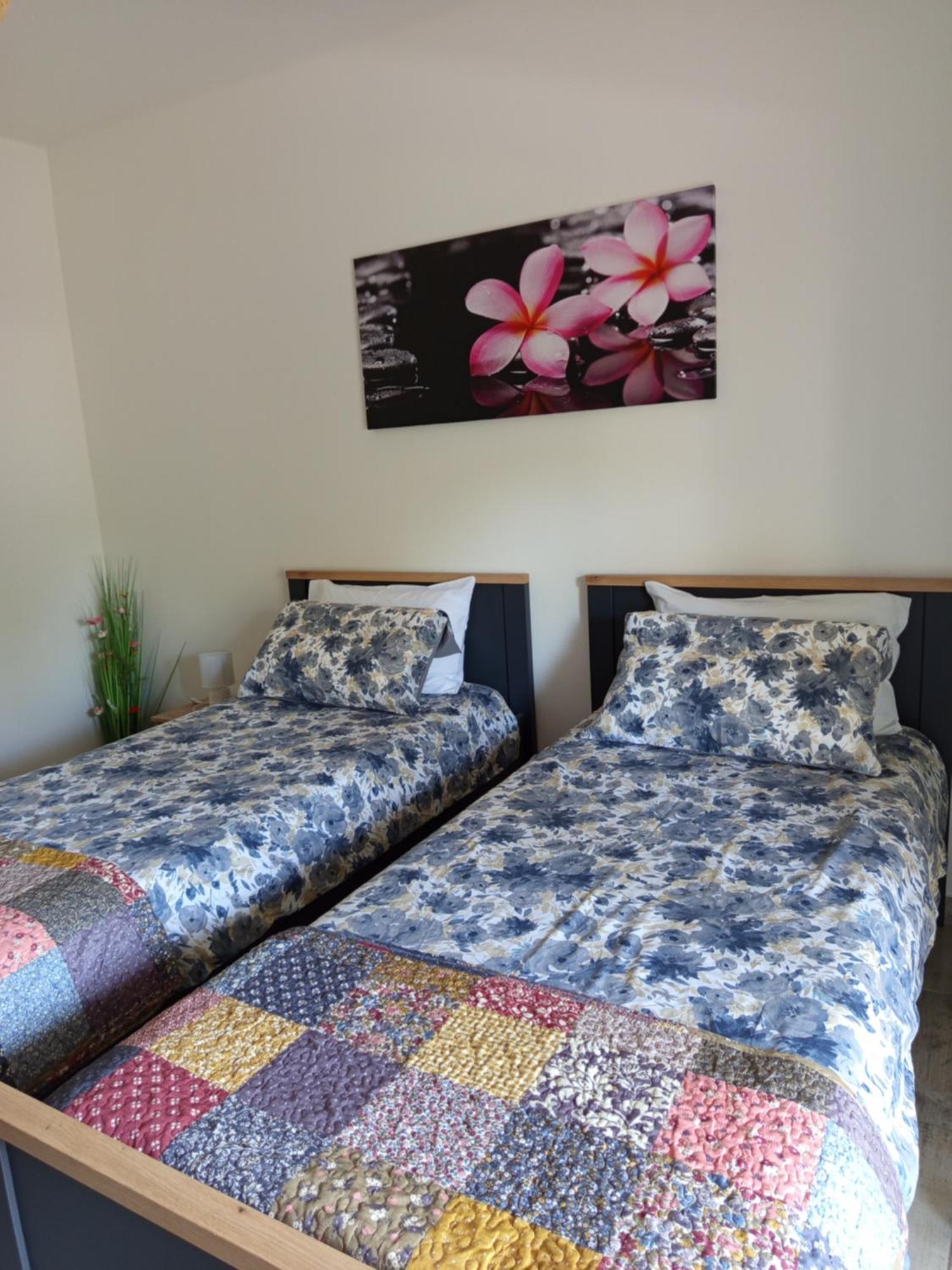 Apartmani Mirko Rovinj Buitenkant foto